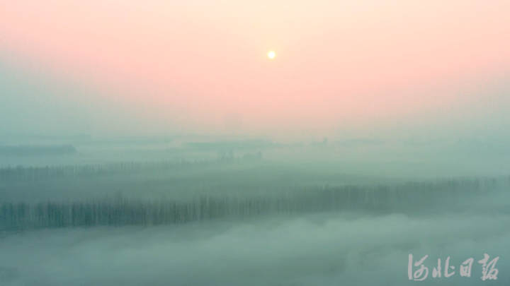 F~4.jpg